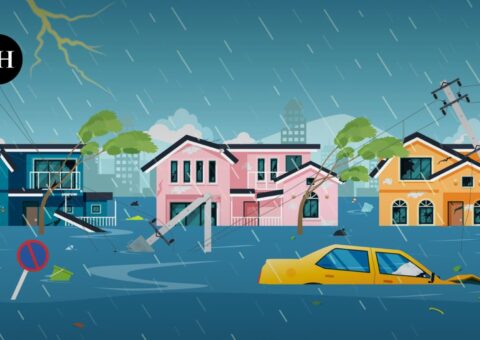 When disaster strikes, does urban planning help?